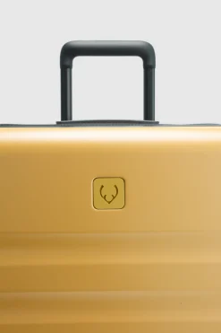 Icon Stripe 78cm Suitcase