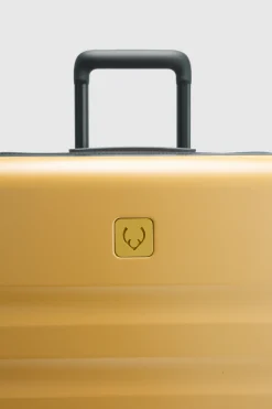 Icon Stripe 66cm Suitcase