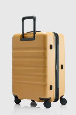 Icon Stripe 66cm Suitcase